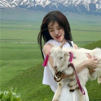 模特魅影