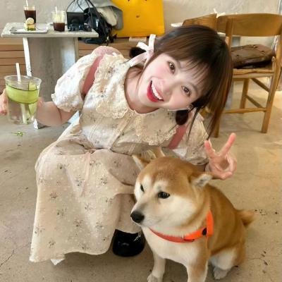 猛虫过江